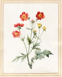 Kompozit, 1827 (wc némi karosszériaszínnel)
